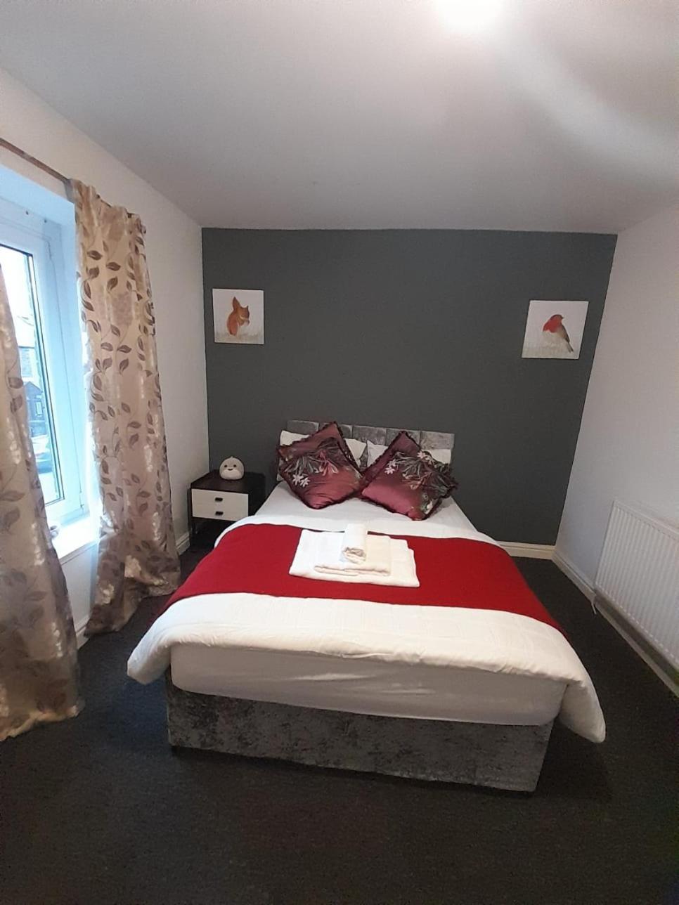 Entire Contemporary & Spacious & Free Street Parking *